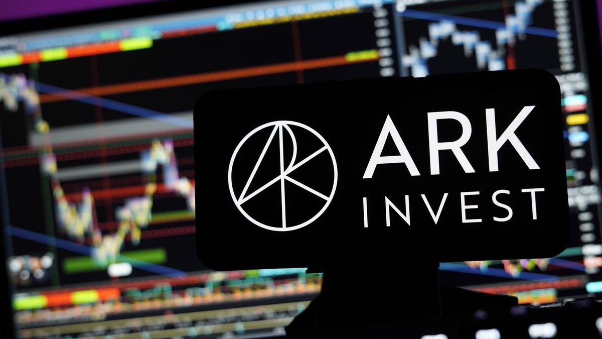 Vizionářka i symbol rizika. Kdo je investorka Cathie Woodová